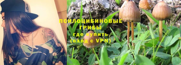 эйфоретик Баксан