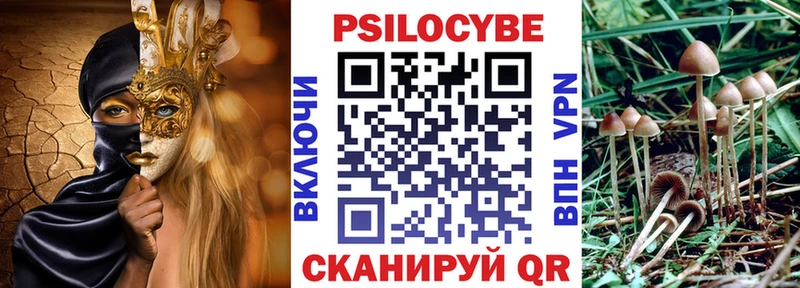 Галлюциногенные грибы мухоморы  маркетплейс клад  Горняк 