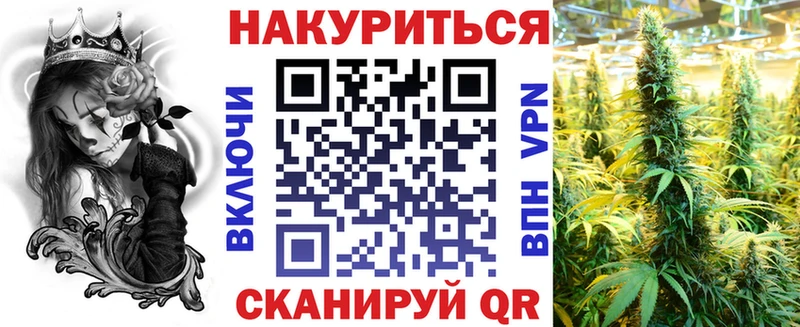 где купить   Горняк  Шишки марихуана семена 